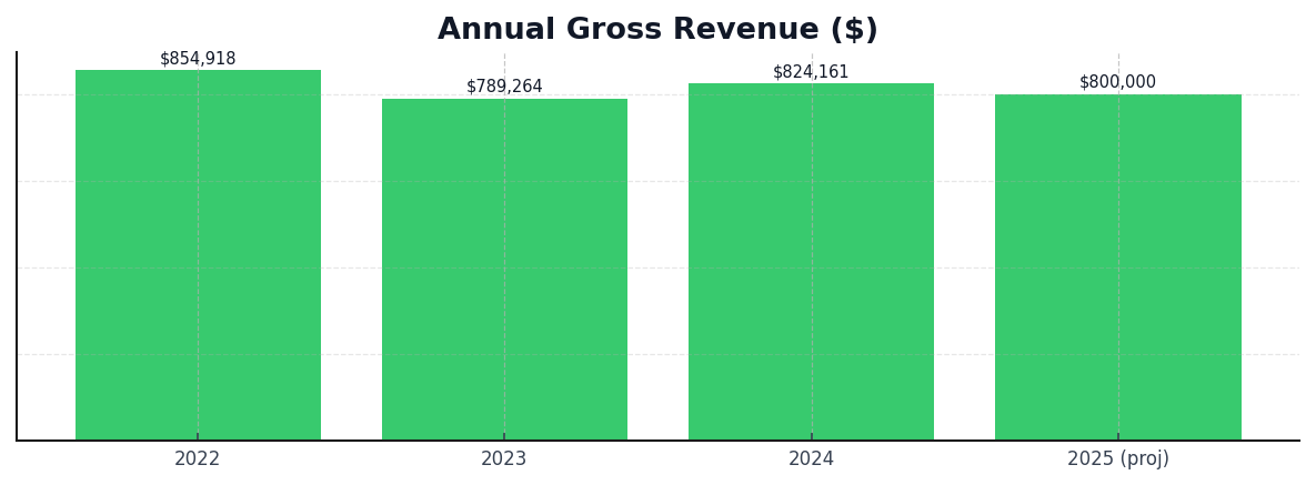 Annual Gross Revenue 2022–2025 (labeled)